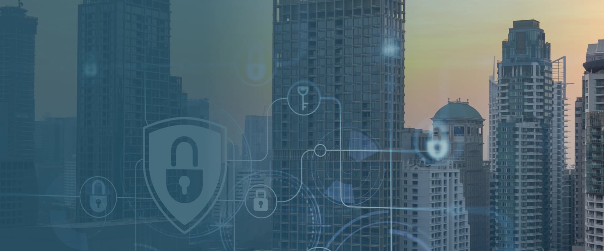 Privacy Policy - Dhenu Buildcon Infra Limited